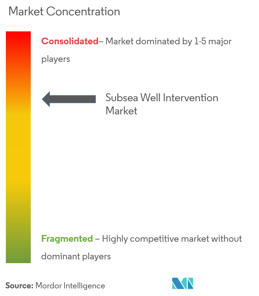 Subsea Well Intervention Market Concentration